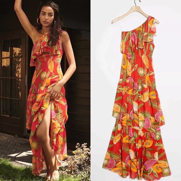 Anthropologie Dresses & Skirts - Anthropologie Farm Rio Papayas Maxi Dress